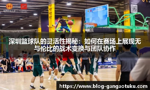 深圳篮球队的灵活性揭秘：如何在赛场上展现无与伦比的战术变换与团队协作
