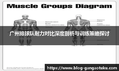 广州排球队耐力对比深度剖析与训练策略探讨