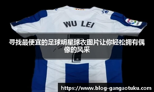 寻找最便宜的足球明星球衣图片让你轻松拥有偶像的风采